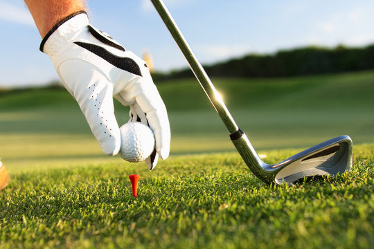collection-banner-image